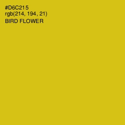 #D6C215 - Bird Flower Color Image